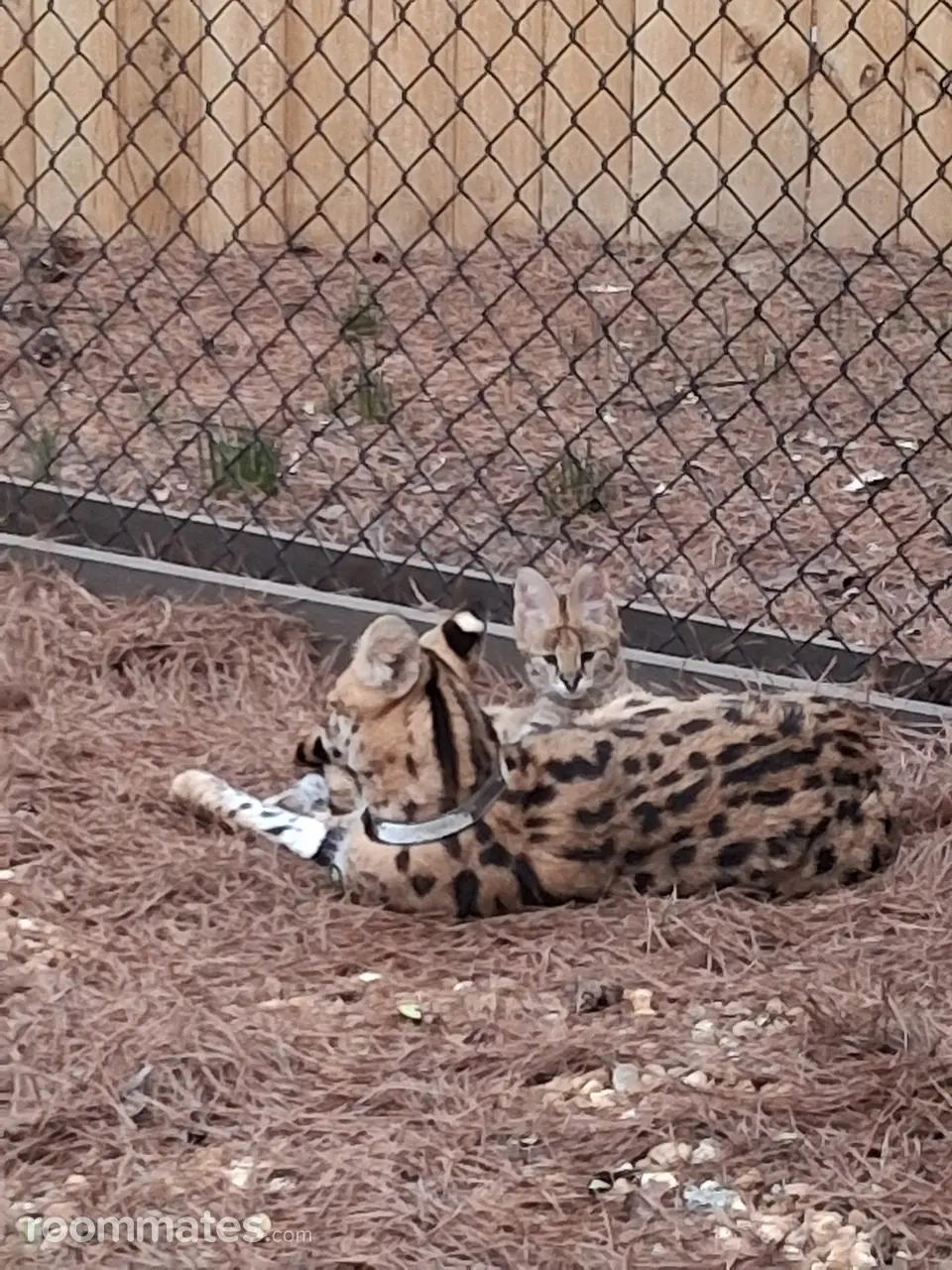 Profile photo 11 of 11