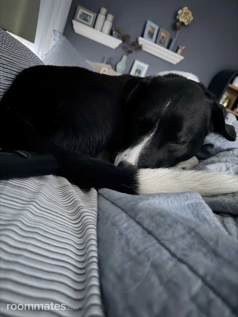 Profile photo 1 of 1