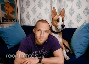 Roommate looking Columbus, OH, $800