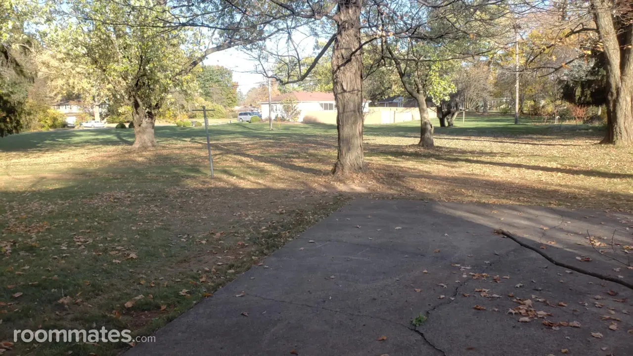 Profile photo 9 of 12