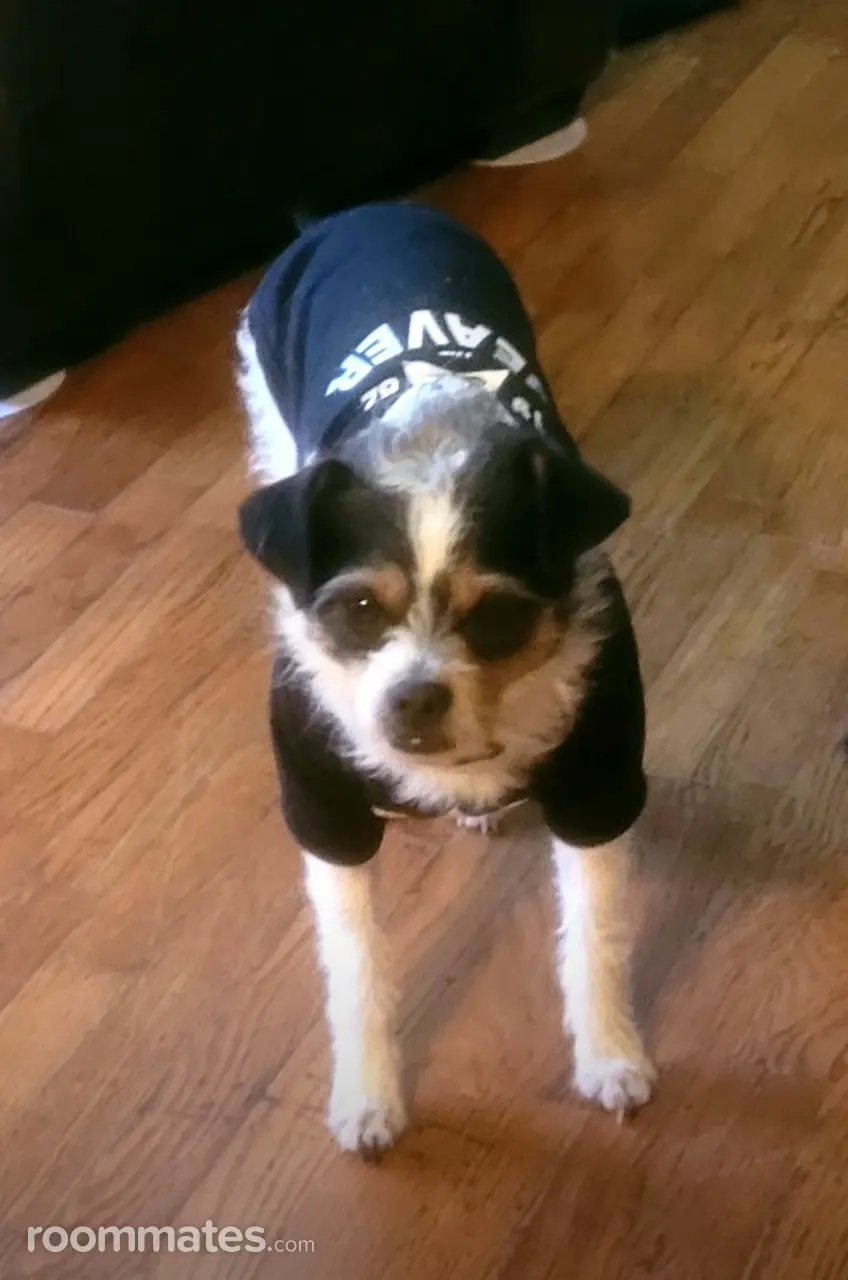 Profile photo 3 of 5