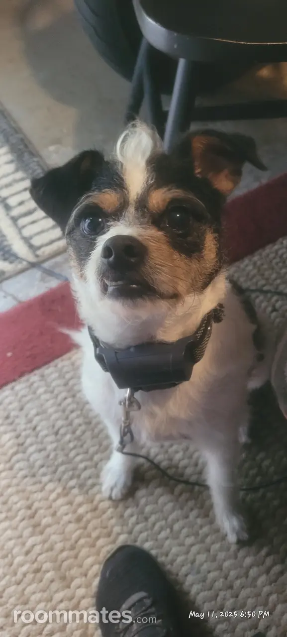 Profile photo 5 of 5