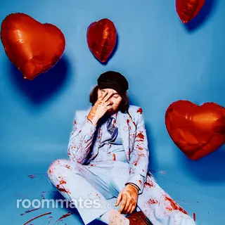 Roommate looking Waynesville, NC, $200