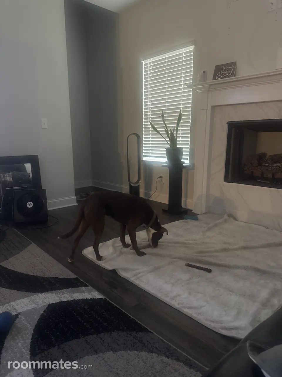 Profile photo 1 of 7