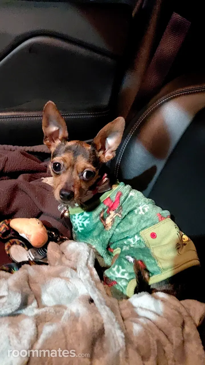 Profile photo 6 of 10