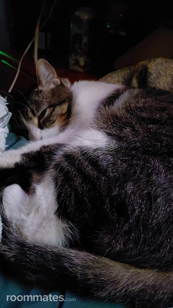 Profile photo 3 of 10