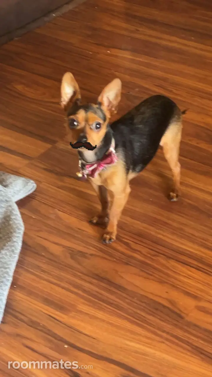 Profile photo 5 of 10