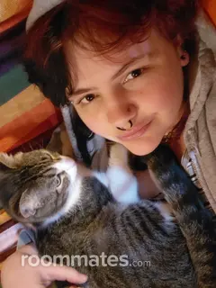 Roommate looking Columbus, OH, $900