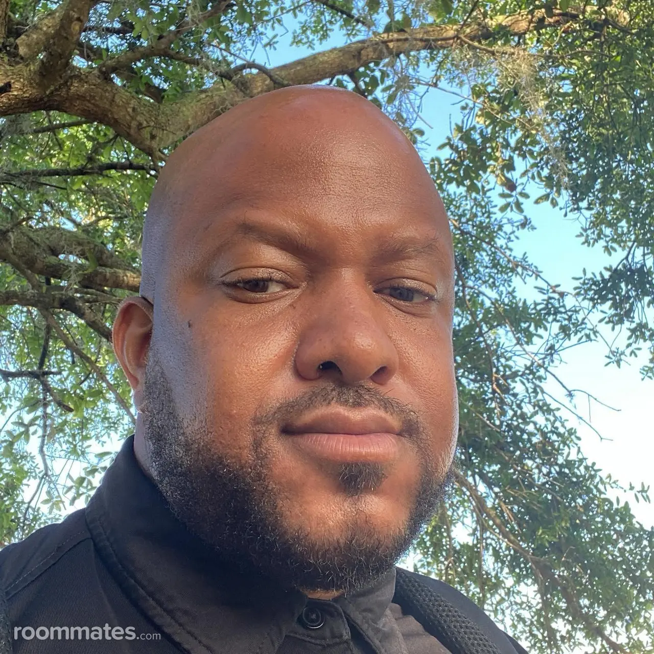 Profile photo 2 of 2