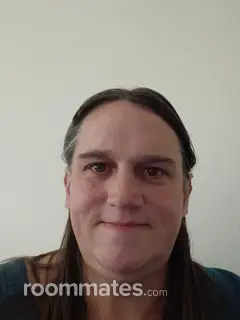 Roommate looking Grand Rapids, MI, $800