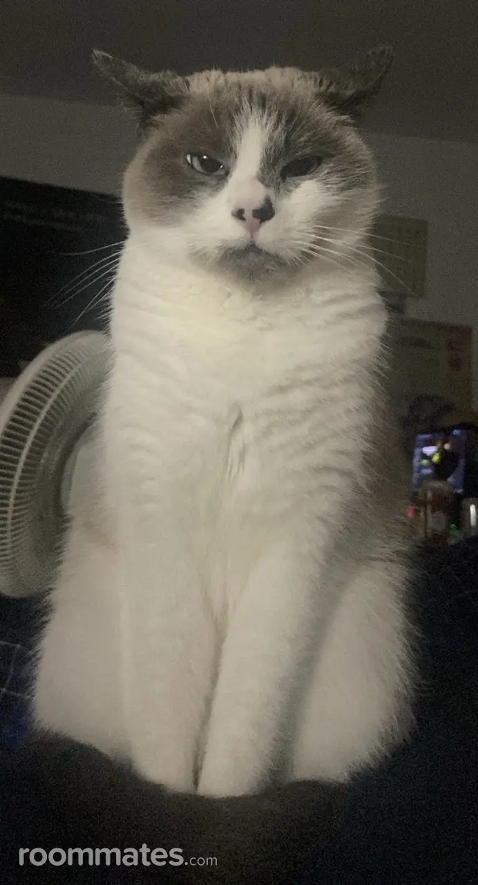 Profile photo 2 of 7