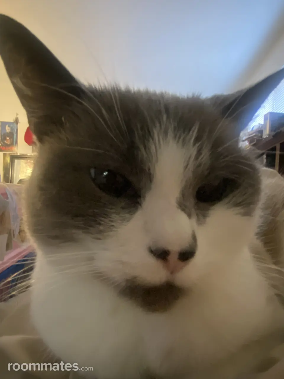 Profile photo 7 of 7