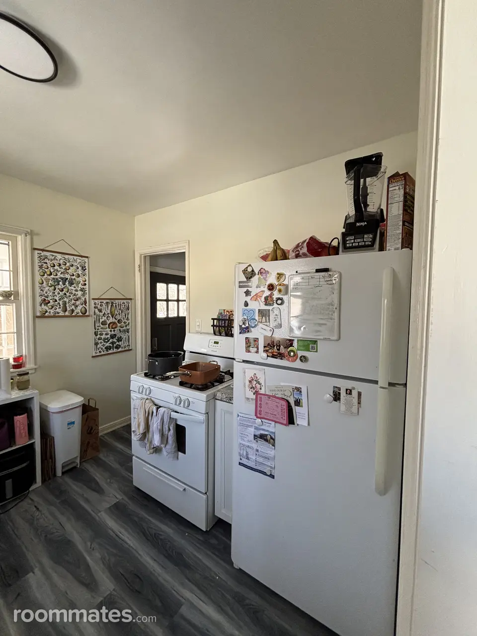 Profile photo 2 of 8