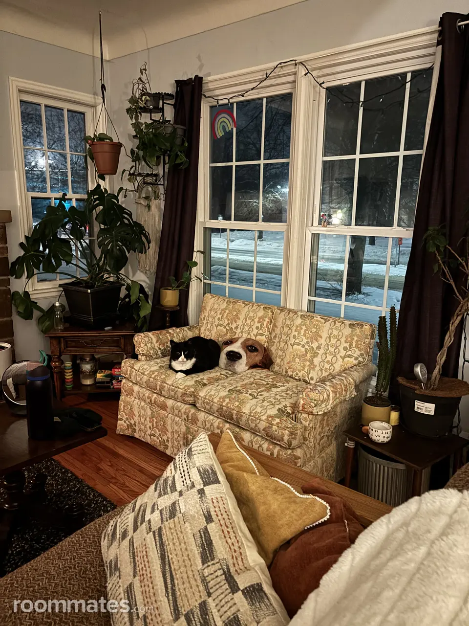 Profile photo 1 of 8