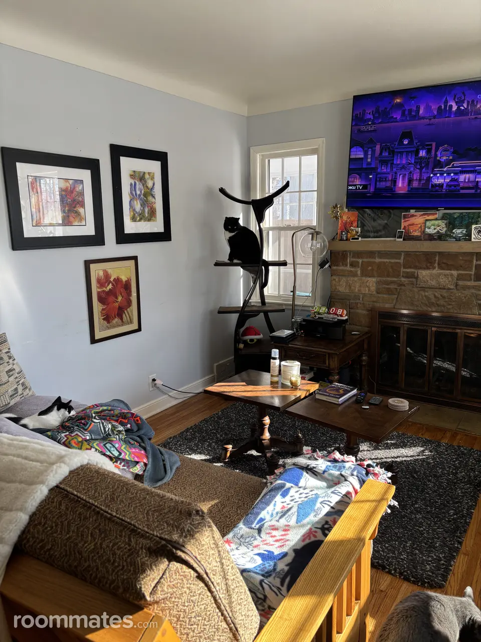 Profile photo 7 of 8