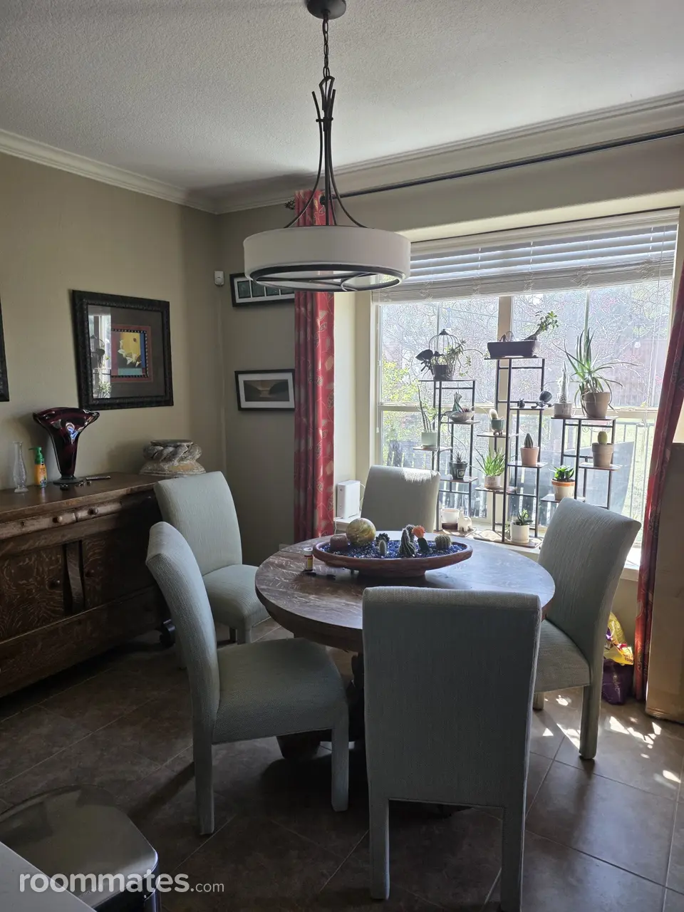 Profile photo 4 of 14