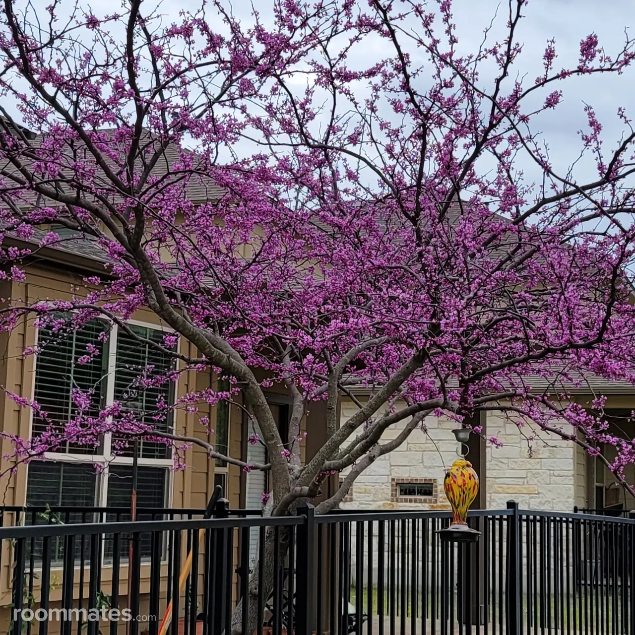 Profile photo 10 of 14