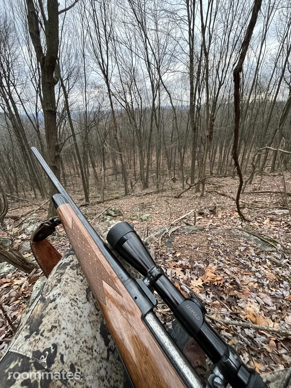 Profile photo 6 of 6