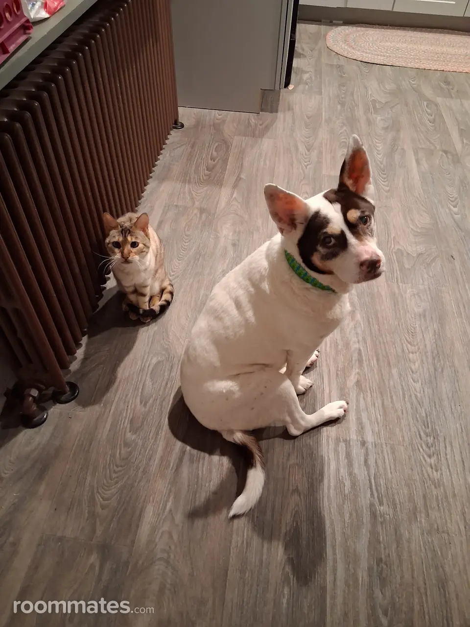 Profile photo 2 of 2