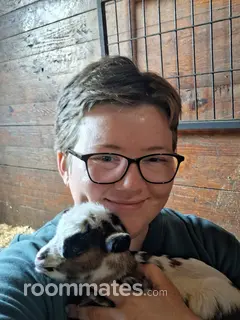 Roommate looking Ringoes, NJ, $1300