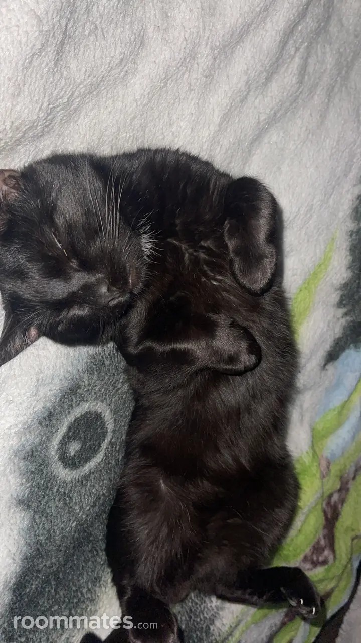 Profile photo 4 of 4