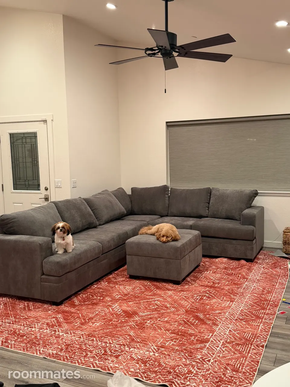 Profile photo 1 of 7