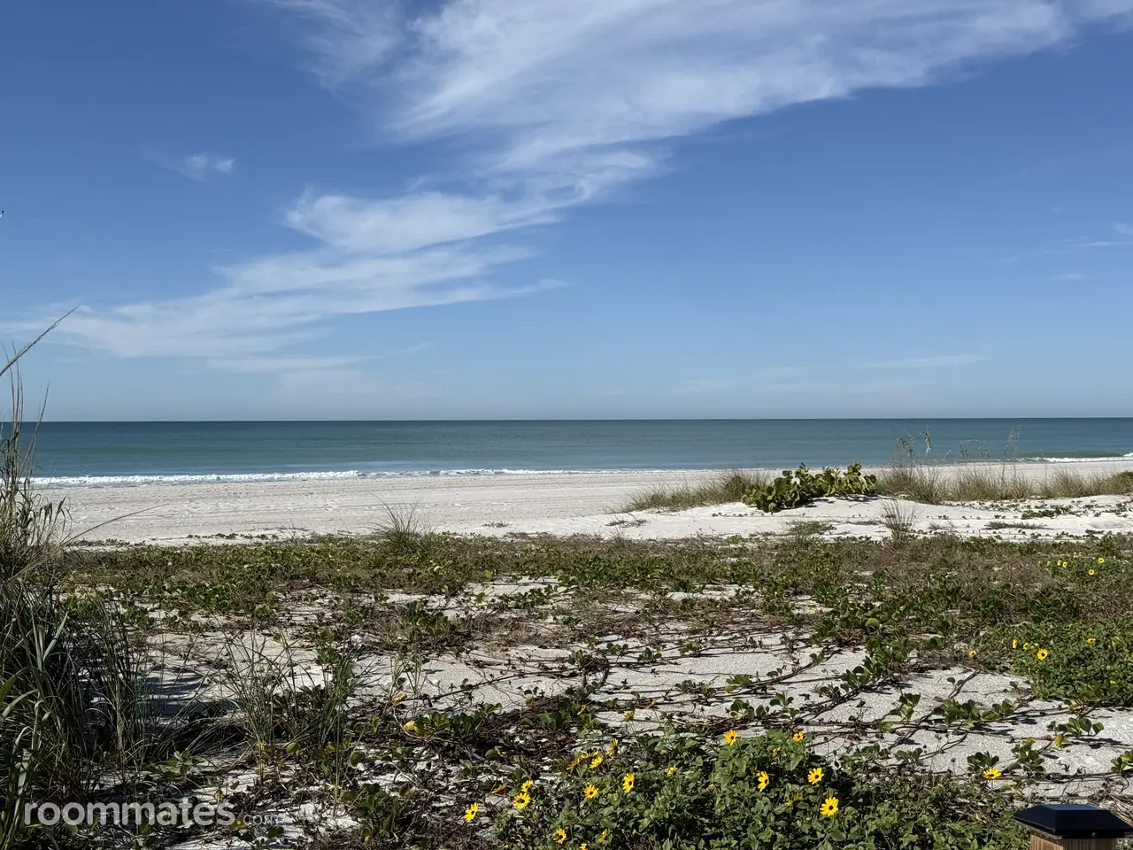 Profile photo 11 of 11