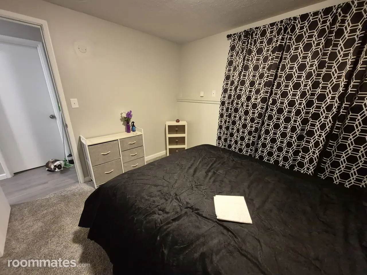 Profile photo 2 of 11