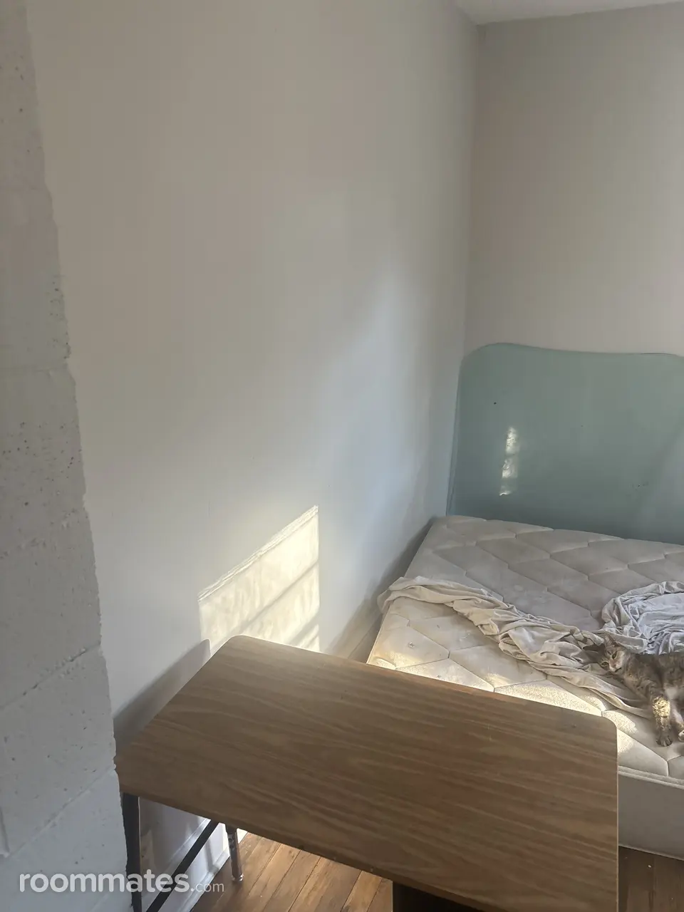 Profile photo 1 of 4