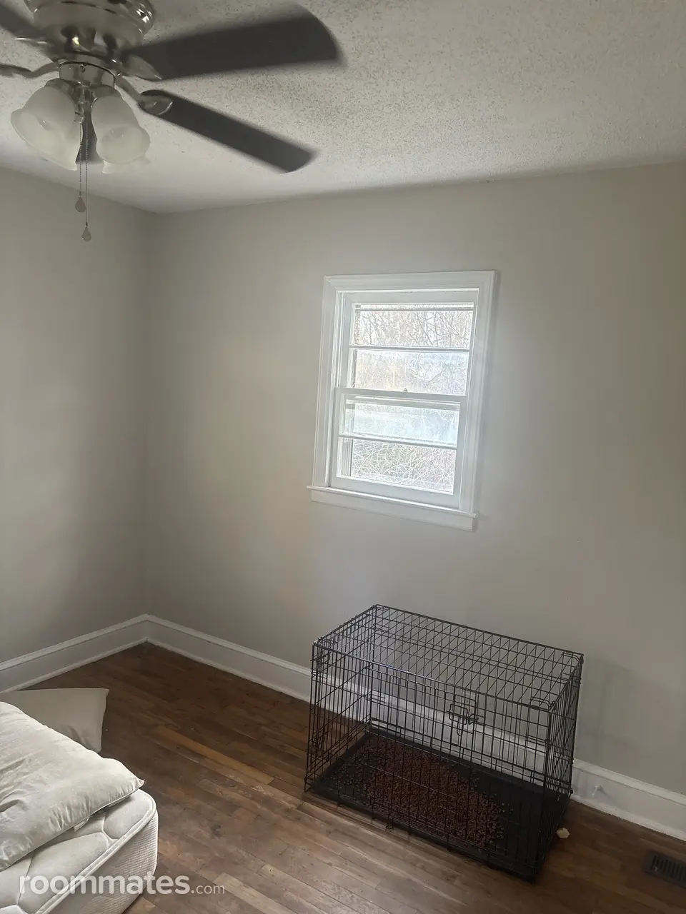 Profile photo 2 of 4