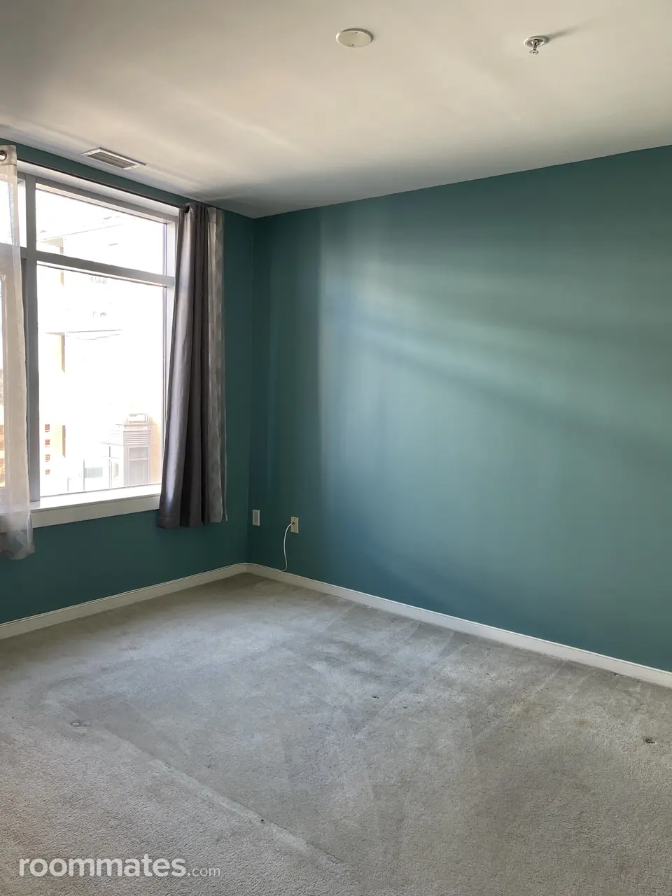 Profile photo 4 of 11