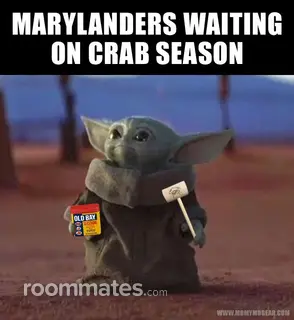 Room for rent in Centreville, VA $1300, apartment