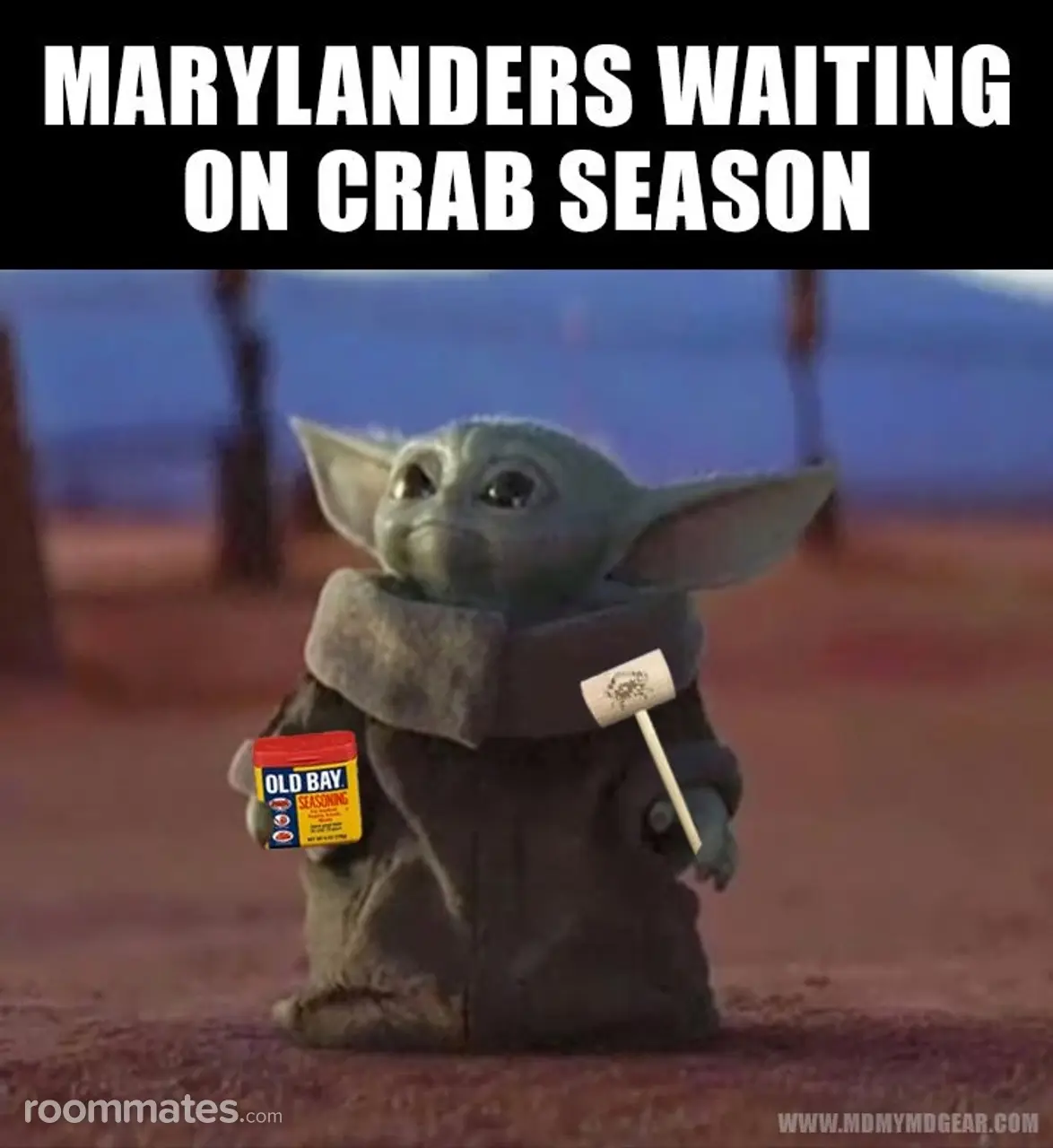 Profile photo 1 of 2