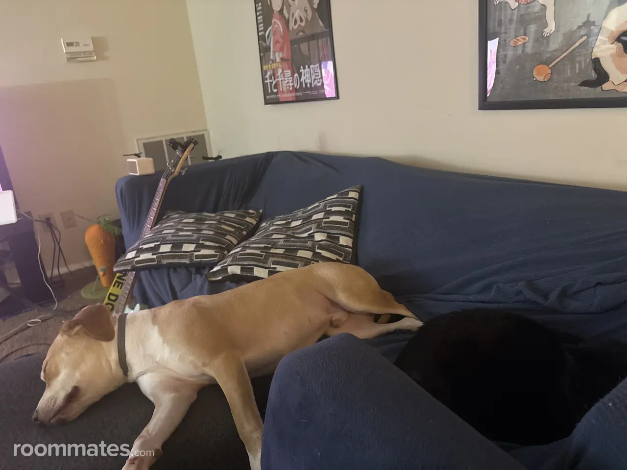 Profile photo 2 of 2