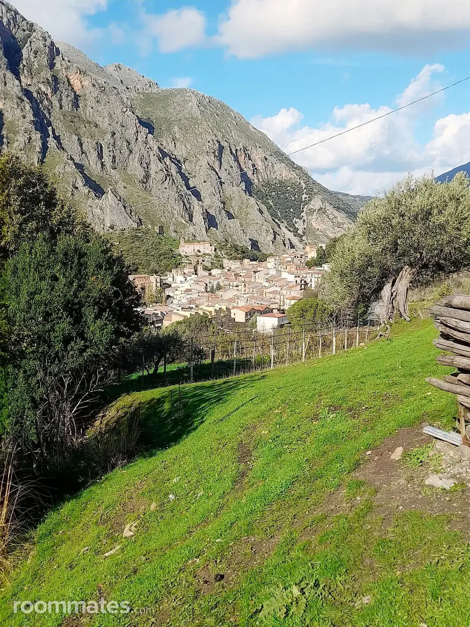 Profile photo 5 of 5