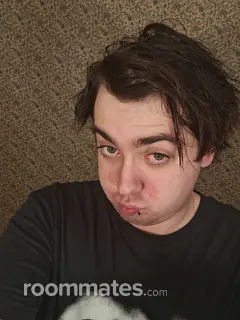 Roommate looking Rockford, IL, $700