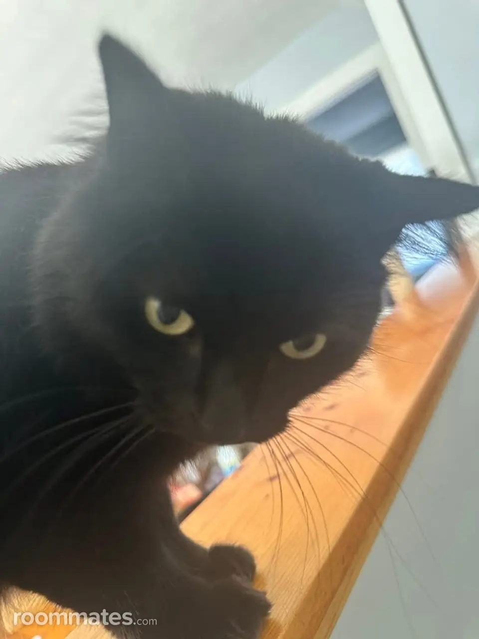 Profile photo 3 of 8