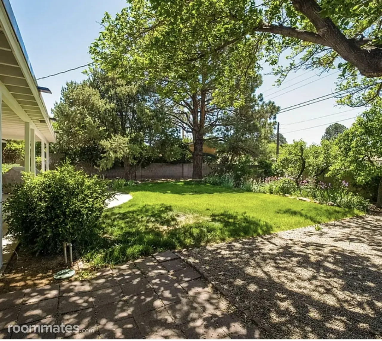 Profile photo 6 of 7