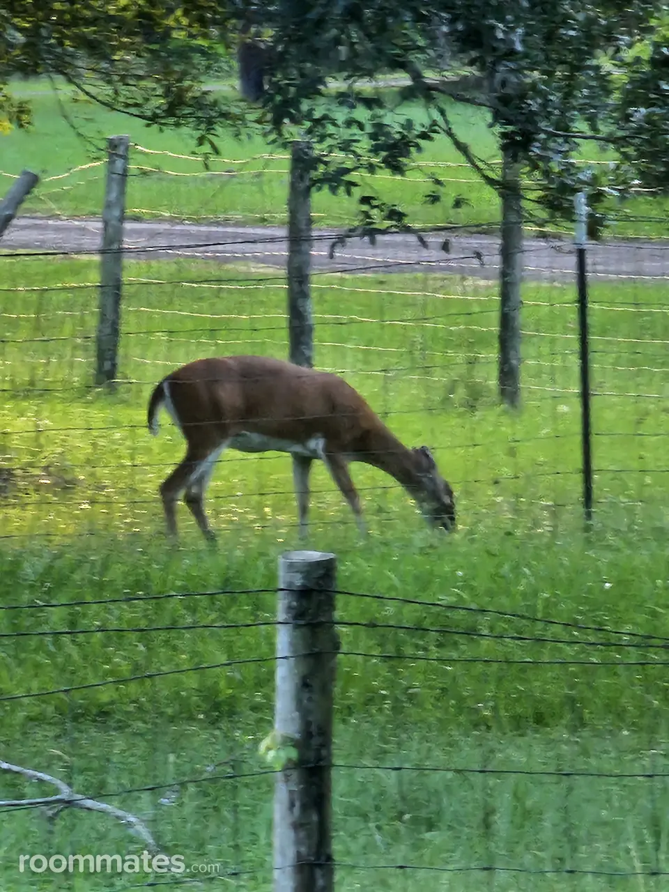 Profile photo 7 of 11