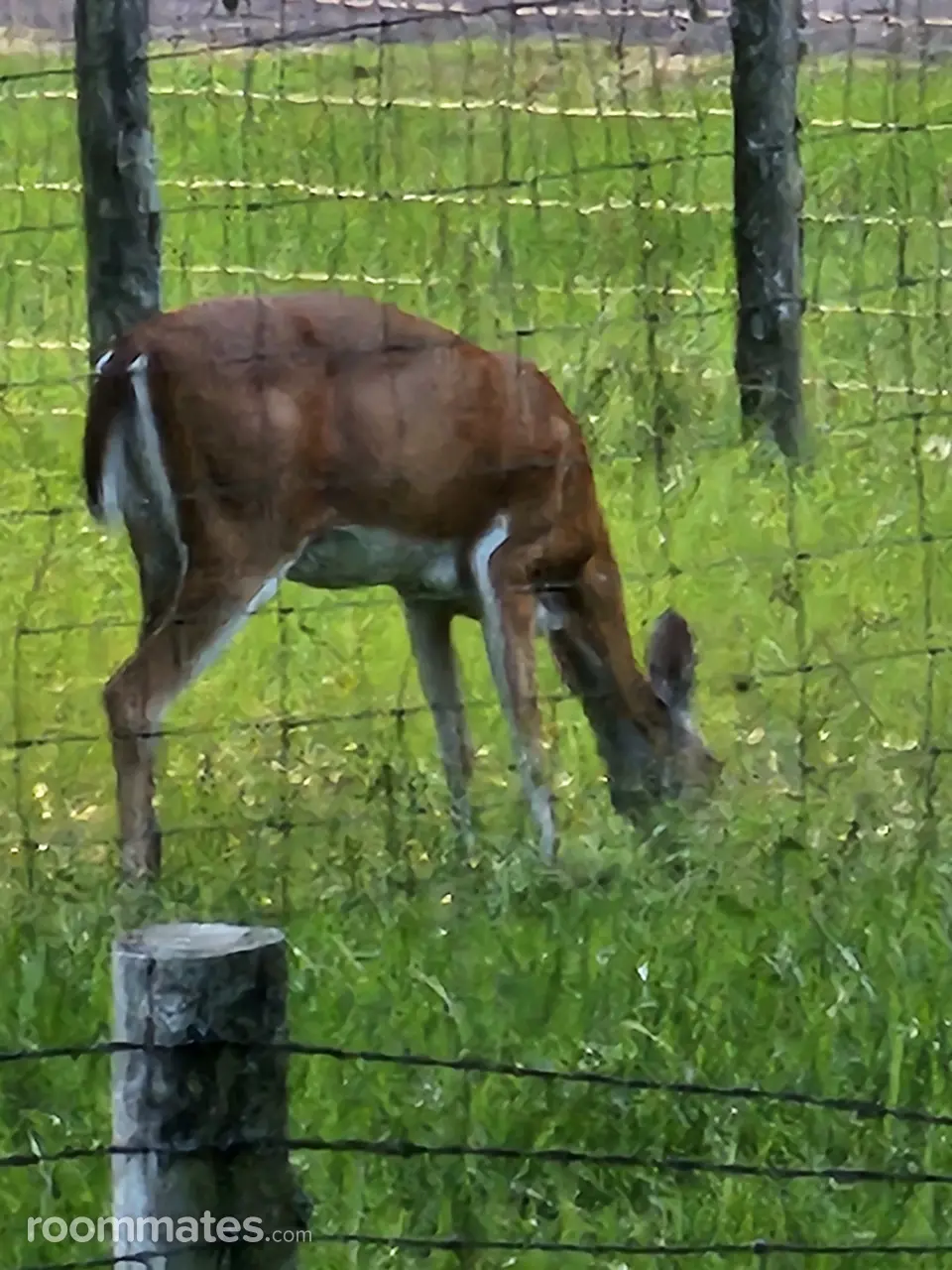 Profile photo 4 of 11