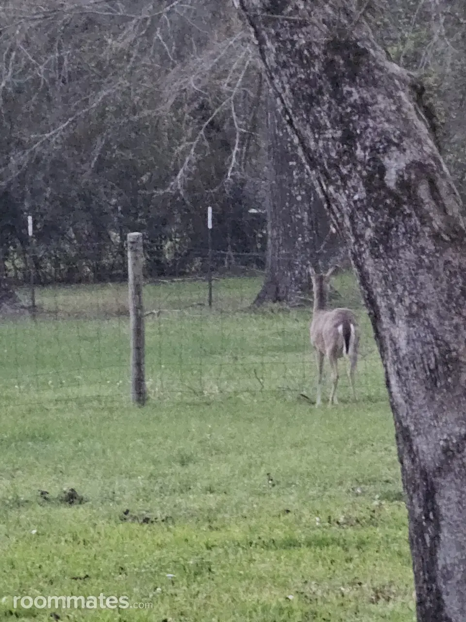 Profile photo 9 of 11