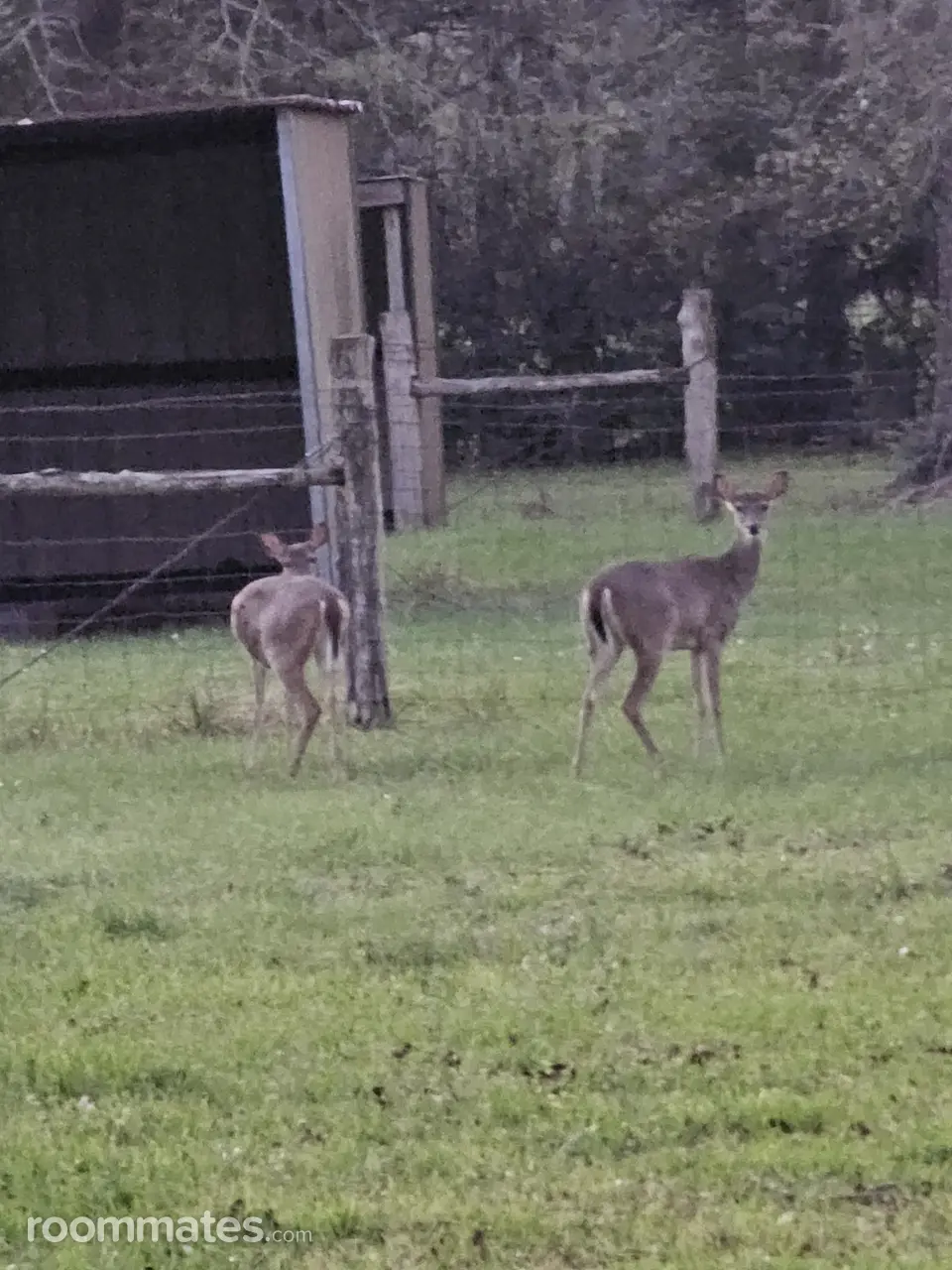 Profile photo 6 of 11