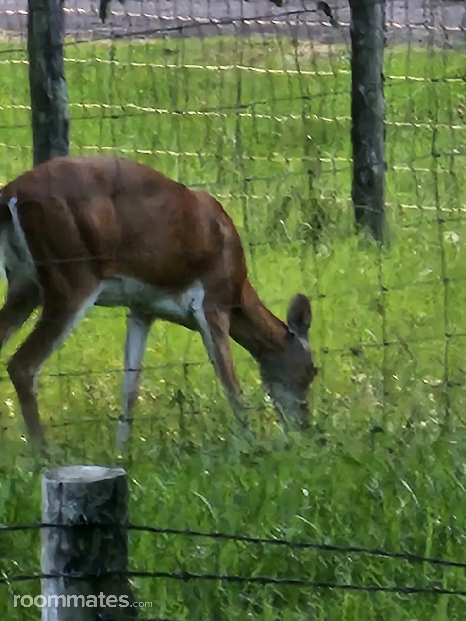 Profile photo 3 of 11