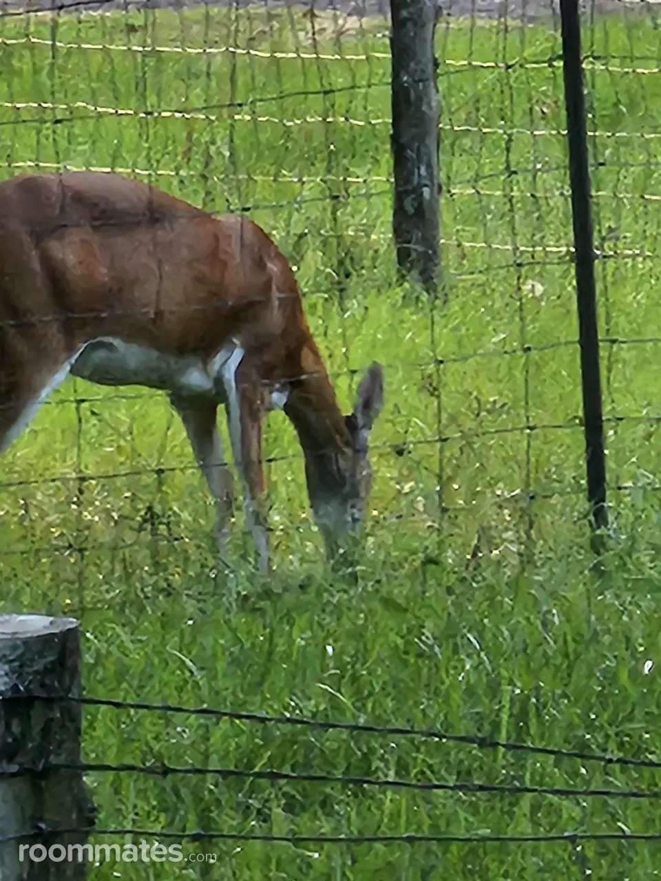 Profile photo 1 of 11