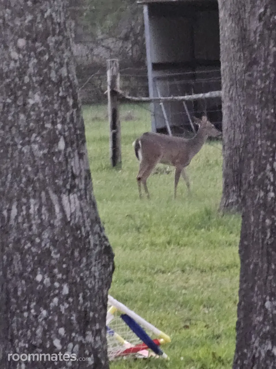 Profile photo 5 of 11