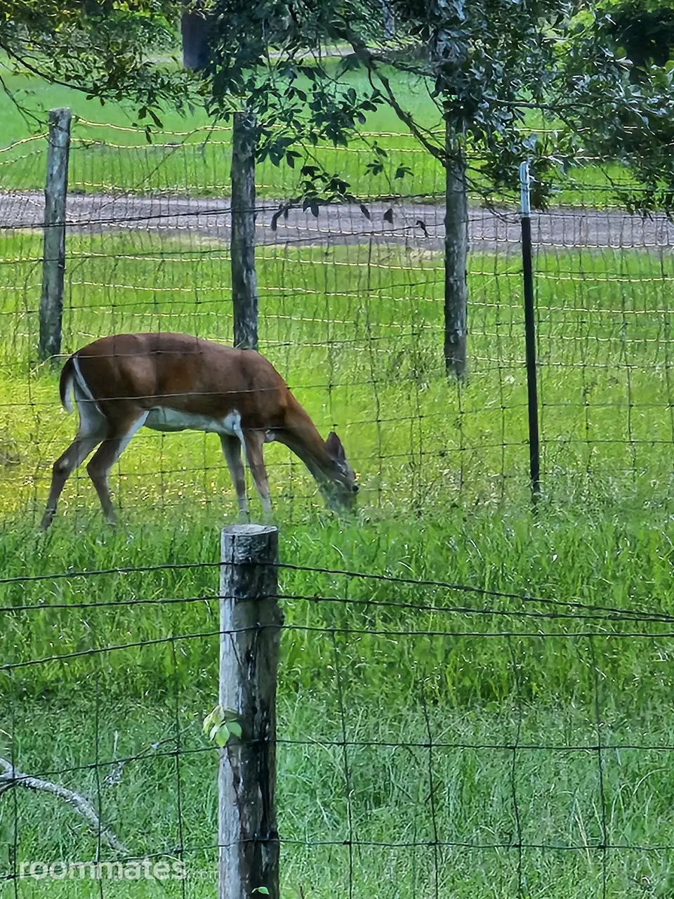 Profile photo 10 of 11