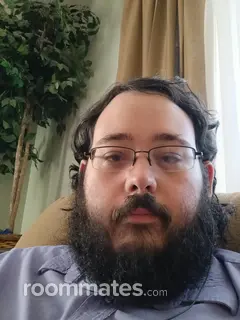 Roommate looking North Little Rock, AR, $600