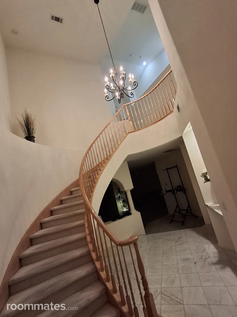 Profile photo 1 of 13