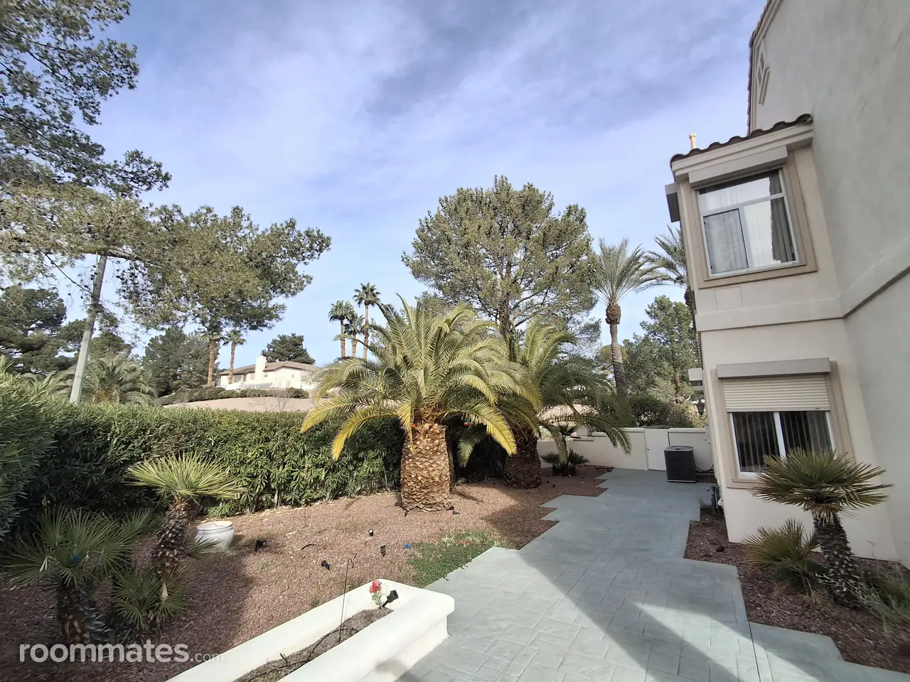 Profile photo 10 of 13