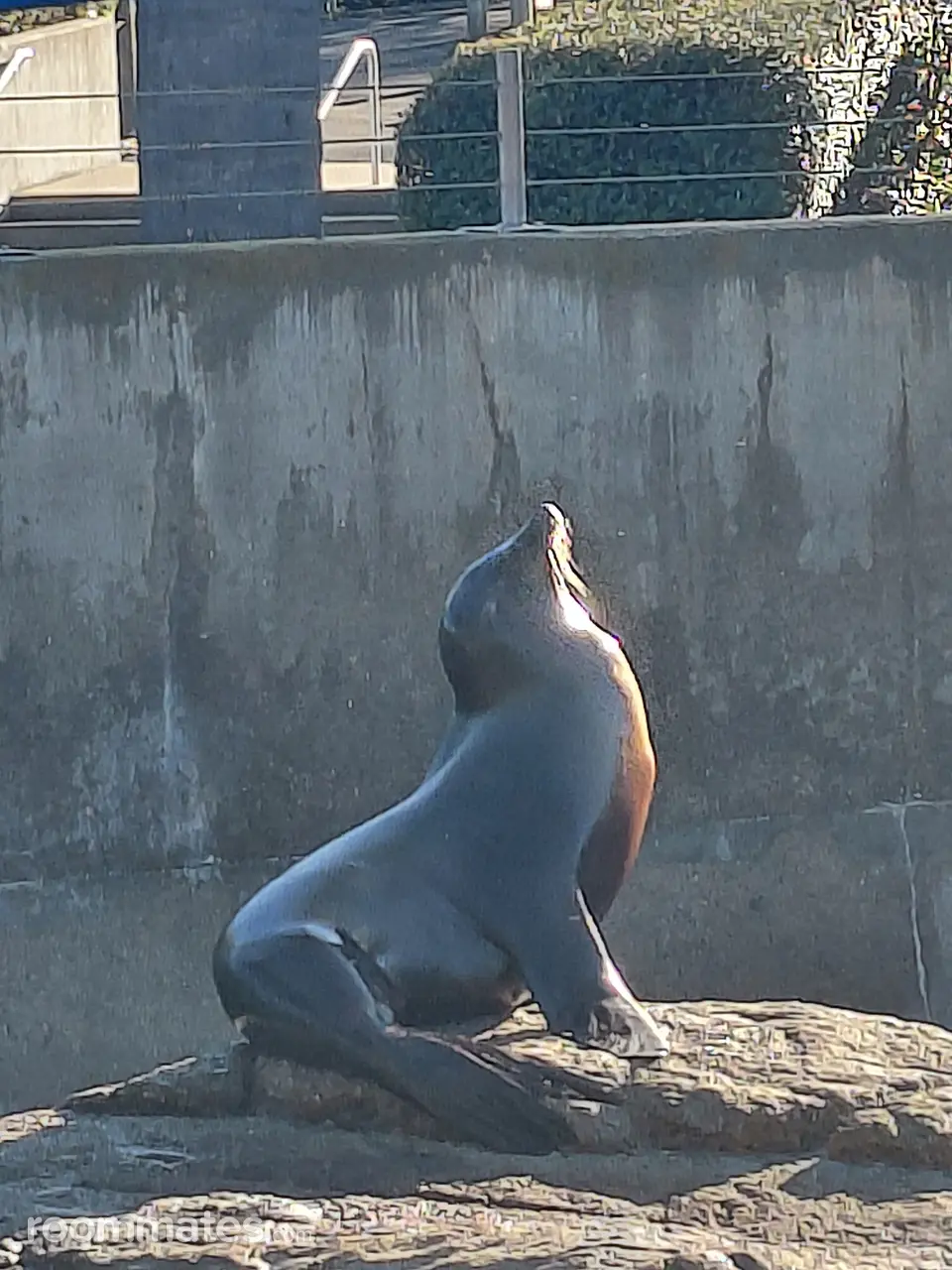 Profile photo 5 of 5